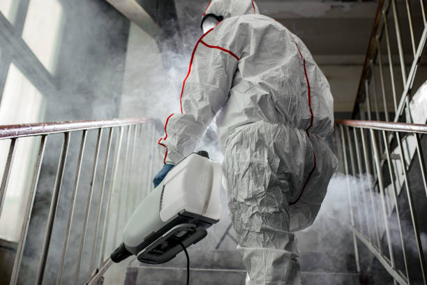 Best Dehumidification Services  in Loyalhanna, PA